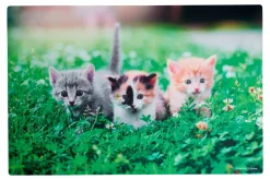 Platzmatte Flip Katze | 45 x 30 cm