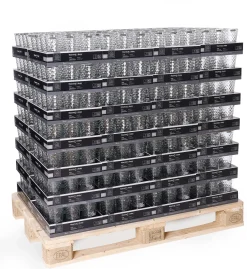 Trinkglas Favo | 350 ml | klar